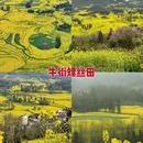 曲靖旅游 缩略图 3