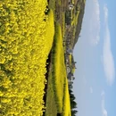 昆明旅游 缩略图 2