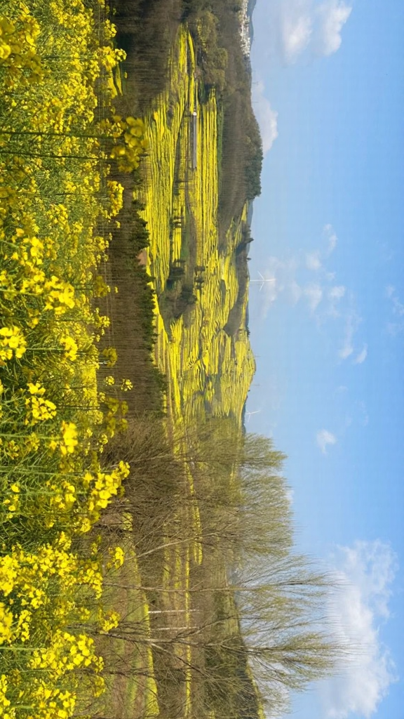 昆明旅游