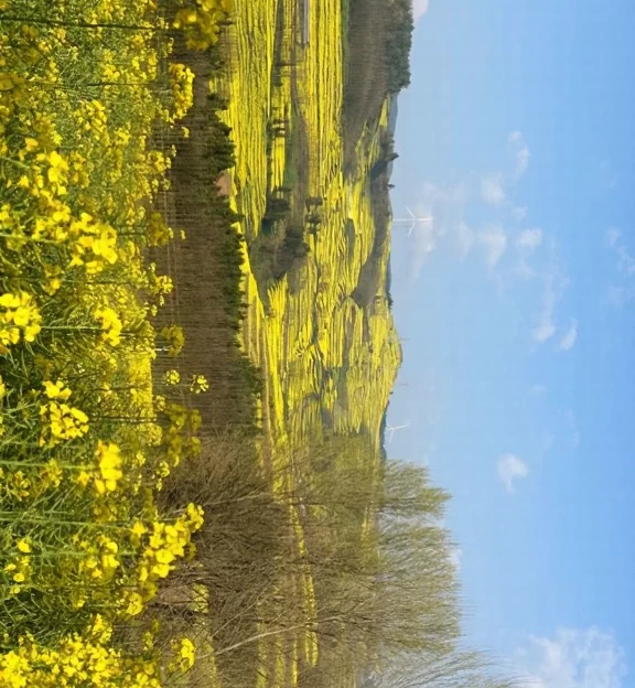昆明旅游 1
