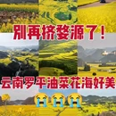 曲靖旅游 缩略图 1