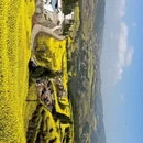 昆明旅游 缩略图 4