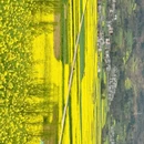 昆明旅游 缩略图 6