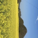 昆明旅游 缩略图 9