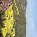 昆明旅游 缩略图 5