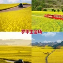 曲靖旅游 缩略图 5