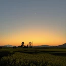 昆明旅游 缩略图 2
