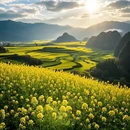 昆明旅游 缩略图 7
