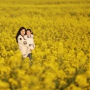 普洱旅游 缩略图 6