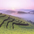 昆明旅游 缩略图 2