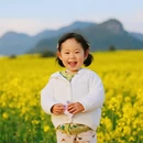 普洱旅游 缩略图 3