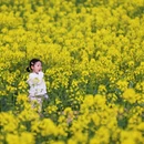 普洱旅游 缩略图 4
