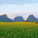 普洱旅游 缩略图 5