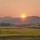 昆明旅游 缩略图 5