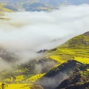 昆明旅游 缩略图 7
