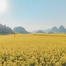 昆明旅游 缩略图 8