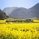 昆明旅游 缩略图 3