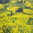 昆明旅游 缩略图 6