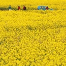 昆明旅游 缩略图 5