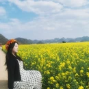 昆明旅游 缩略图 5