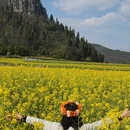 昆明旅游 缩略图 4
