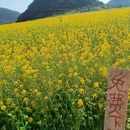 昆明旅游 缩略图 2