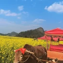 昆明旅游 缩略图 1