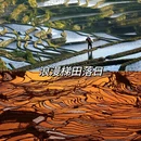 昆明旅游 缩略图 13