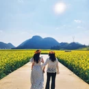 昆明旅游 缩略图 7