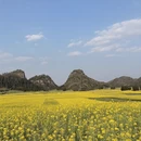 昆明旅游 缩略图 12