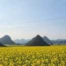 昆明旅游 缩略图 11