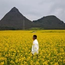 曲靖旅游 缩略图 3