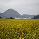 曲靖旅游 缩略图 9