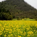 曲靖旅游 缩略图 8