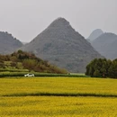 曲靖旅游 缩略图 12
