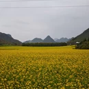 曲靖旅游 缩略图 10