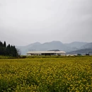 曲靖旅游 缩略图 14