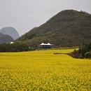 曲靖旅游 缩略图 11