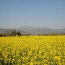 昆明旅游 缩略图 2