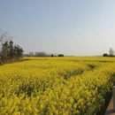 昆明旅游 缩略图 1