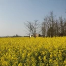 昆明旅游 缩略图 6