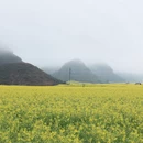 昆明旅游 缩略图 2
