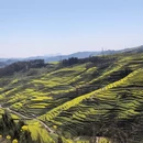 黔西南旅游 缩略图 16