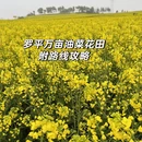 曲靖旅游 缩略图 1
