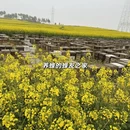 曲靖旅游 缩略图 9