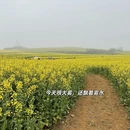 曲靖旅游 缩略图 13
