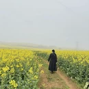 曲靖旅游 缩略图 11