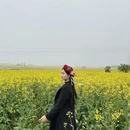 曲靖旅游 缩略图 16