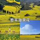 昆明旅游 缩略图 5