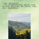 昆明旅游 缩略图 6
